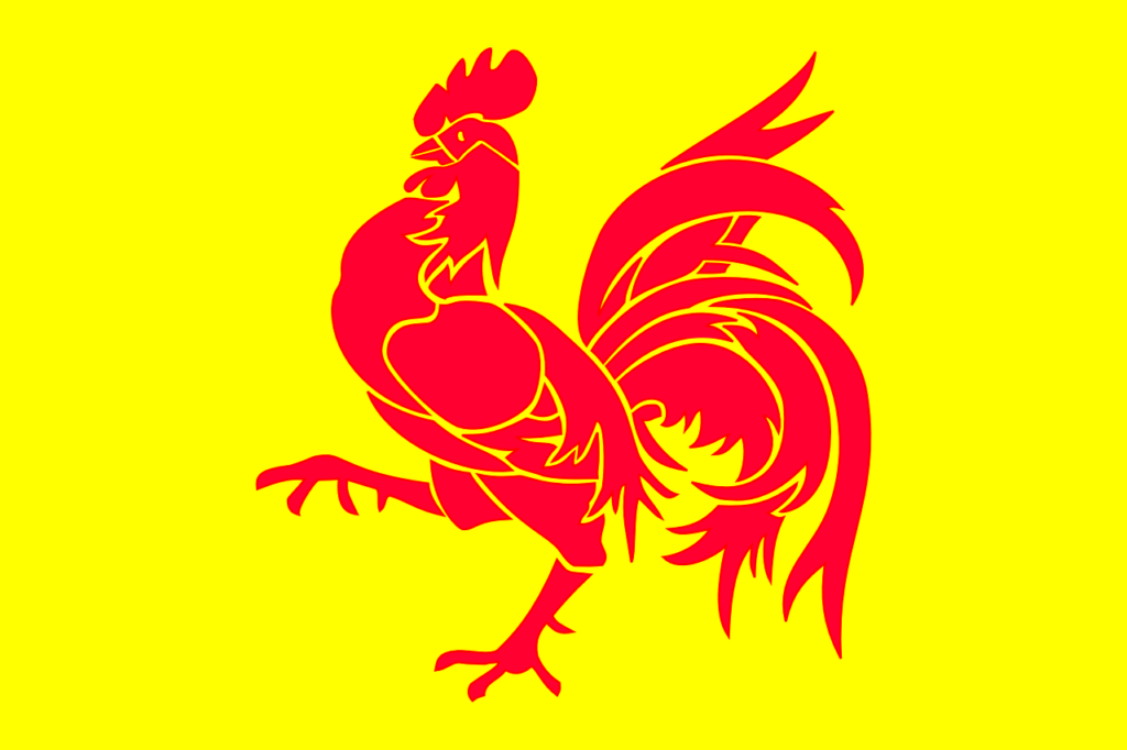 Флаг Валлонии. 12  бельгийских столиц